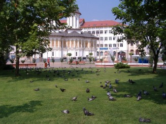 Targu Jiu-porumbei in parc