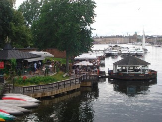 Vedere din Djungarden