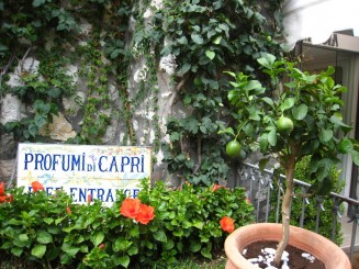 Insula Capri 