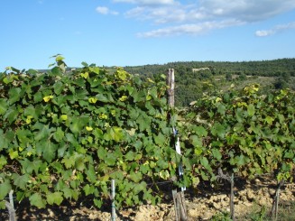 Toscana-Chianti