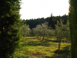 Toscana-Chianti