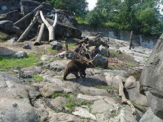 Skansen