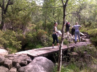 Preikestolen-Stavanger(Tau)