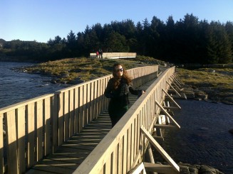 The Viking Village
