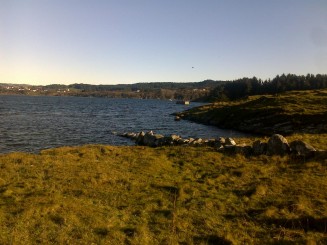 The Viking Village