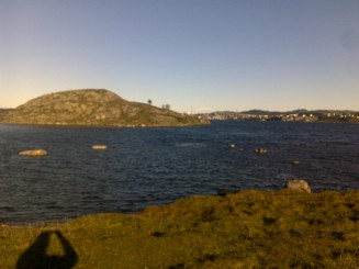 The Viking Village