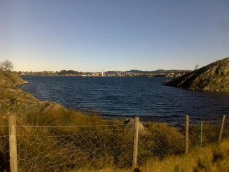 The Viking Village
