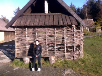 The Viking Village