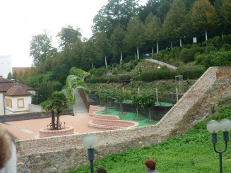 Pasind pe urmele lui Umberto Ego