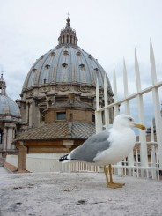 Cupola Bazilicii Sf Petru (Vatican) vazuta de pe acoperis