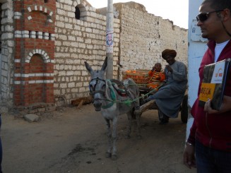 caruta  transportand  portocale in satul nubian