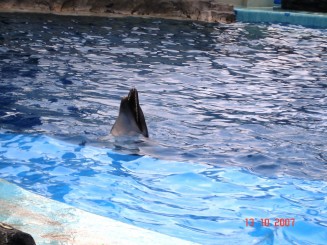 Un scurt popas in Japonia