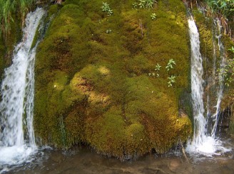 Rezervatia Naturala Plitvice din Croatia