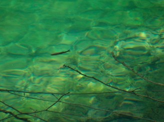 Rezervatia Naturala Plitvice din Croatia