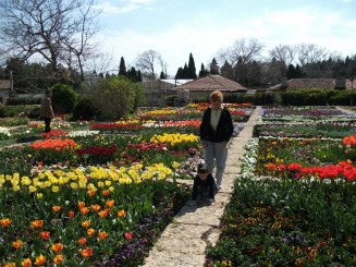 Balcik-gradina botanica(varietati de lalele)