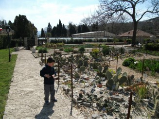 Balcik-gradina botanica(aleea cu cactusi)