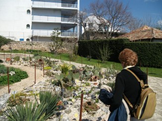 Balcik-gradina botanica (aleea cu cactusi)