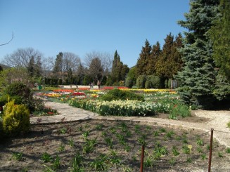 Balcik-gradina botanica(aleea cu cactusi)