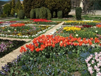 Balcik-gradina botanica(varietati de lalele)