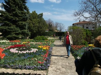 Balcik-gradina botanica(flori de primavara)