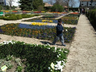 Balcik-gradina botanica(flori de primavara)