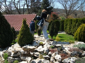 Balcik-gradina botanica(flori de piatra)