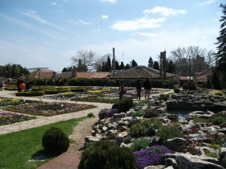 Balcik-gradina botanica(flori de piatra)