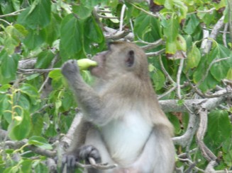 peisaje mirifice in Thailanda