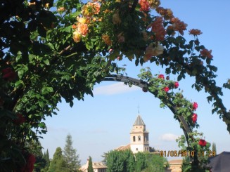 Palat, flori si panorama- Granada