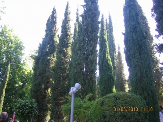 Palat, flori si panorama- Granada