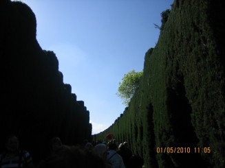 Palat, flori si panorama- Granada