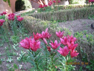 Palat, flori si panorama- Granada