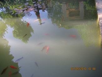 Palat, flori si panorama- Granada