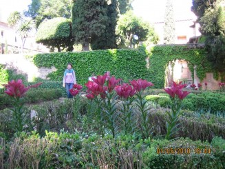 Palat, flori si panorama- Granada