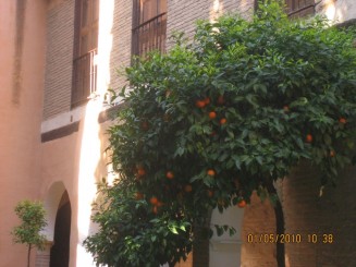 Palat, flori si panorama- Granada