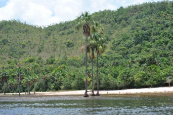 parcul canaima