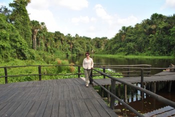 Delta fluviului Orinoco