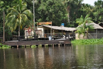 Campus in delta fluviului Orinoco