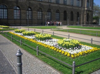 Zwingwer