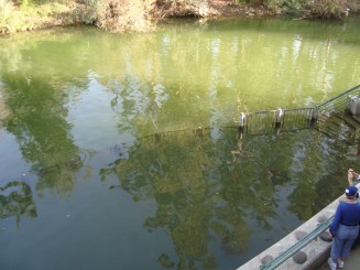 Locul Botezului Domnului Isus (Yerdenit)