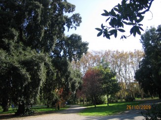 Surpriza placuta-Livorno