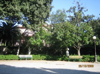 Surpriza placuta-Livorno