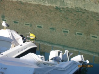 Surpriza placuta-Livorno