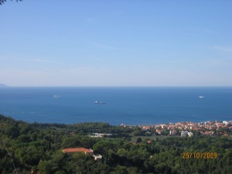 Surpriza placuta-Livorno