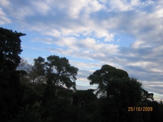 Surpriza placuta-Livorno