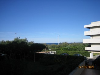 Surpriza placuta-Livorno