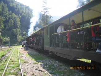 Cu mocanita pe valea Vaserului