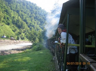 Cu mocanita pe valea Vaserului