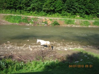 Cu mocanita pe valea Vaserului