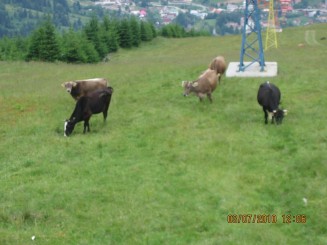 Weekend in Maramures